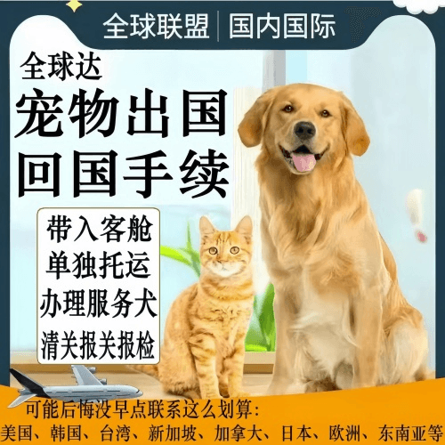 平谷区宠物托运到柬埔寨宠物入境规定和要求