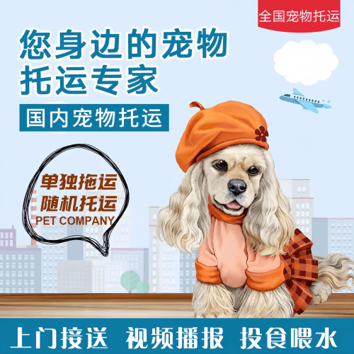 满财平谷区宠物全球达宠物托运作为专业的宠物运输代理机构